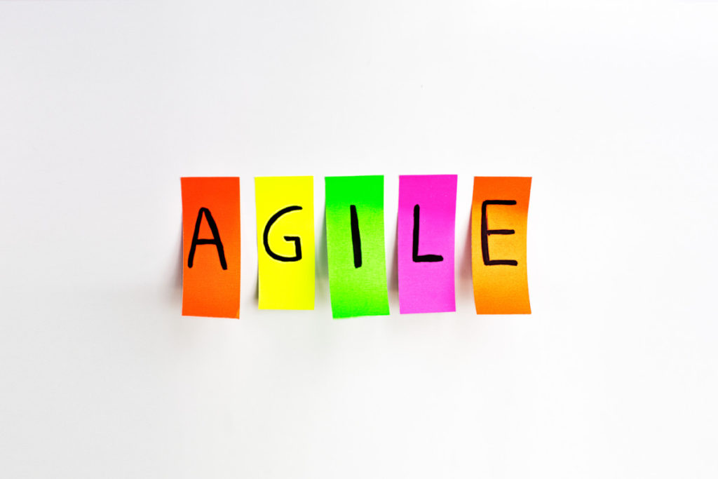 Agile – flexible software development methodology