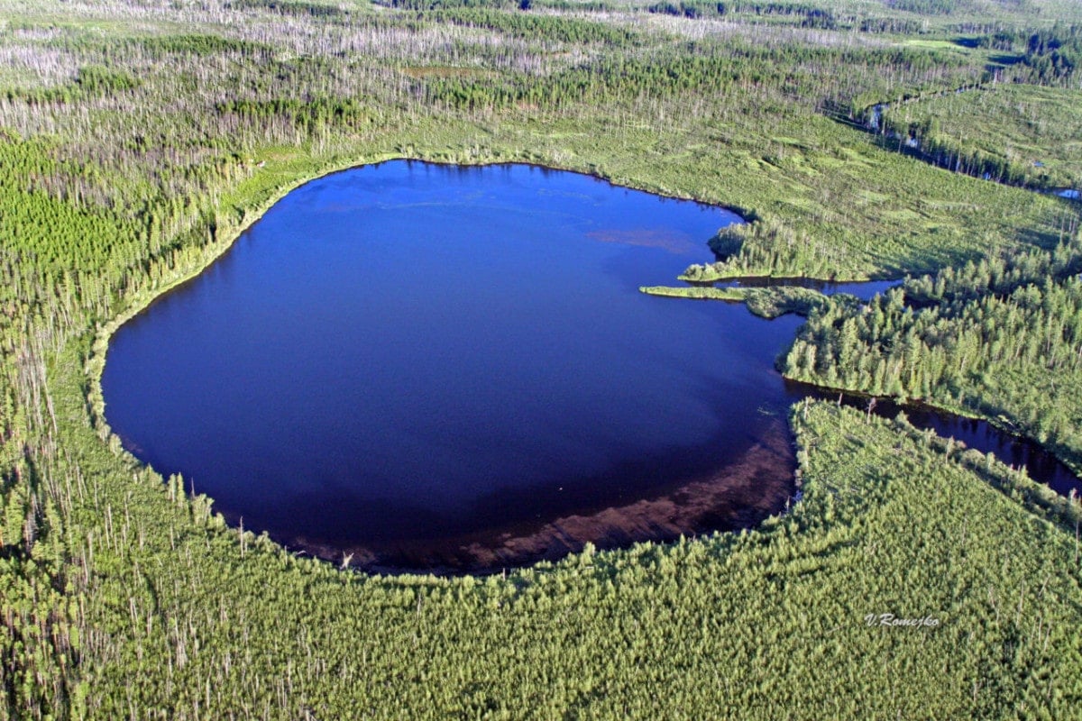 The site of the fall of the Tunguska meteorite