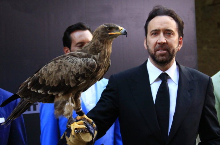 Nicolas Cage : 야심 찬 배우의 전기