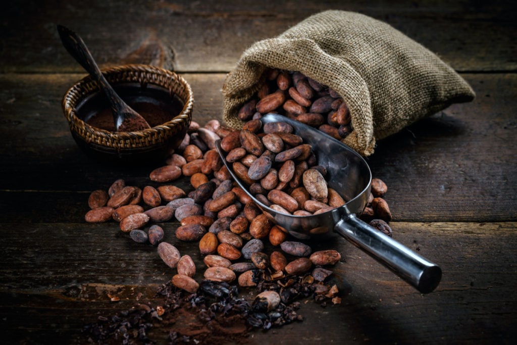 Какао — полезное и вкусное чудо природы