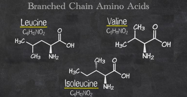 BCAA – acides aminés à chaîne ramifiée