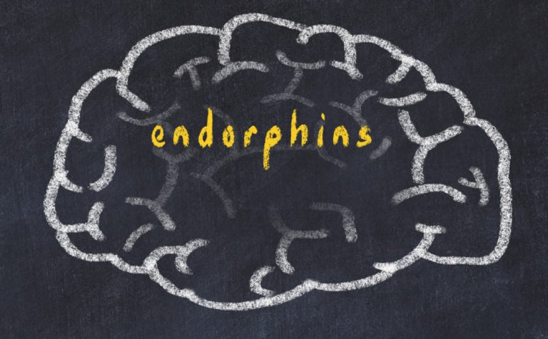 Endorphins – hormones of satisfaction and well-being