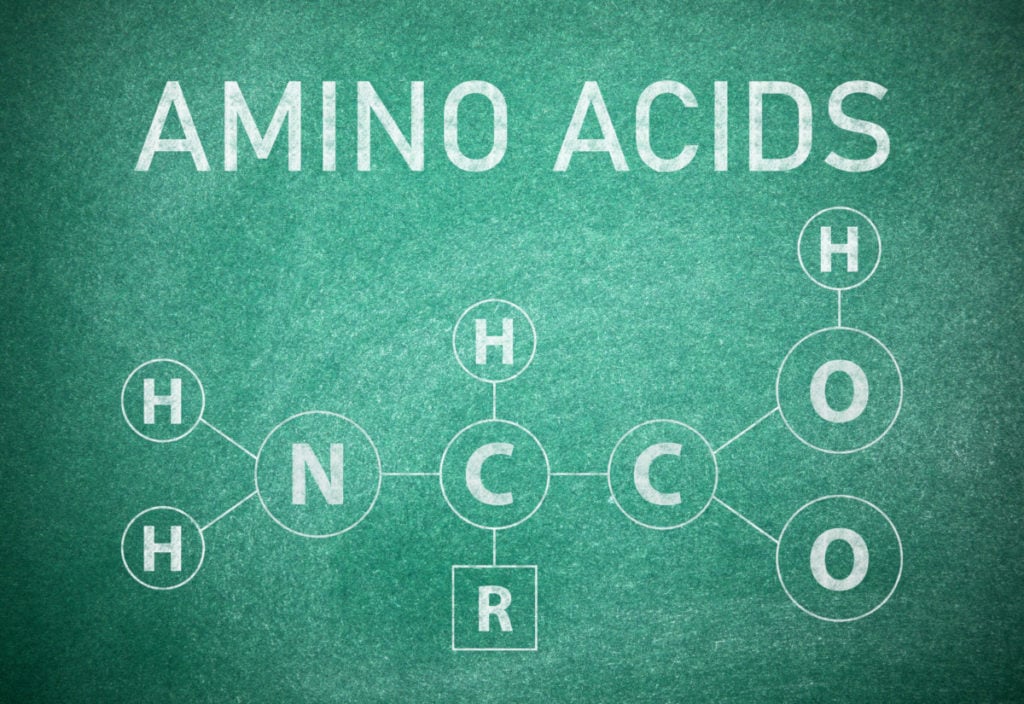 Незаменимые аминокислоты — 9 важных элементов для организма человека