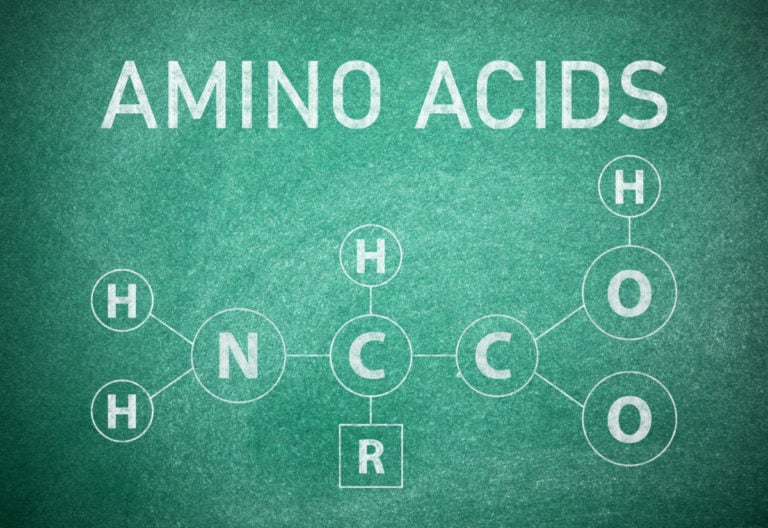Essential amino acids – 9 important elements for the human body
