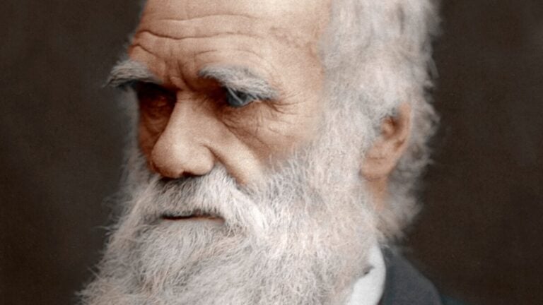 Charles Darwin and his theory of evolution