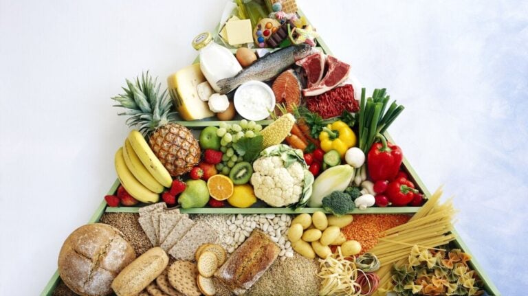 खाद्य पिरामिड – स्वस्थ आहार के सिद्धांत