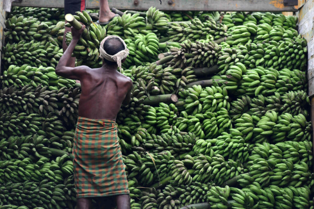 Banana Republic is een vazalstaat met een monopolie op buitenlandse investeerders
