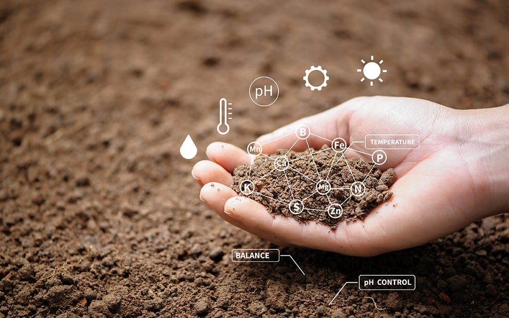 Проблема загрязнения почвы: источники и основные методы борьбы